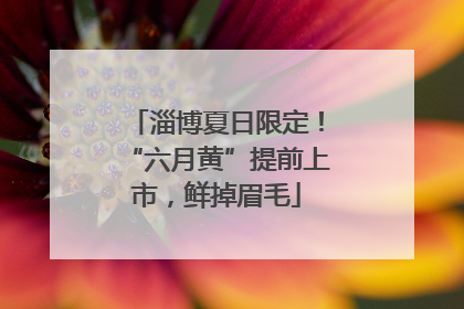 淄博夏日限定！“六月黄”提前上市，鲜掉眉毛