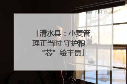清水县：小麦管理正当时 守护粮“芯”绘丰景