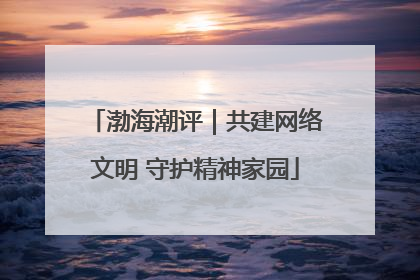 渤海潮评｜共建网络文明 守护精神家园