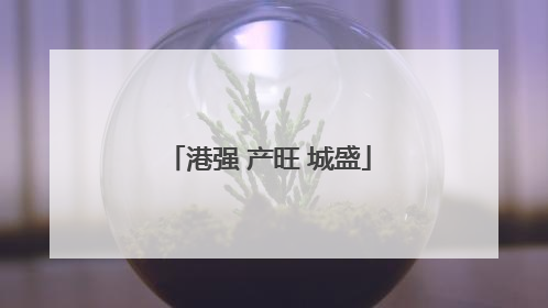 港强 产旺 城盛