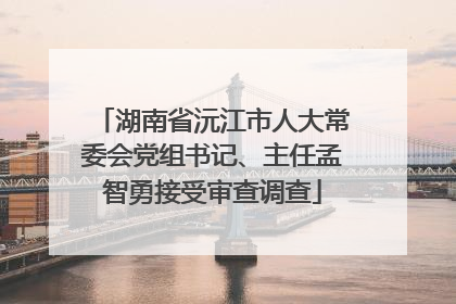 湖南省沅江市人大常委会党组书记、主任孟智勇接受审查调查