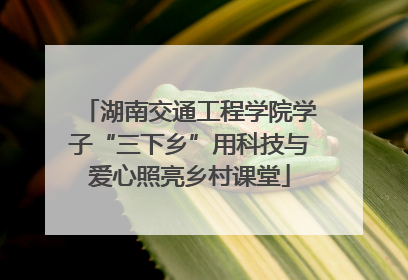 湖南交通工程学院学子“三下乡”用科技与爱心照亮乡村课堂