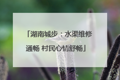 湖南城步：水渠维修通畅 村民心情舒畅