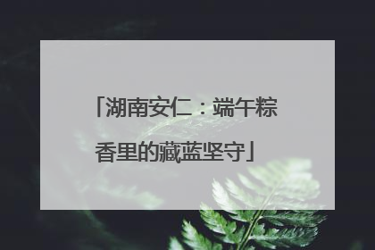 湖南安仁：端午粽香里的藏蓝坚守