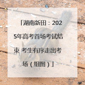 湖南新田：2025年高考首场考试结束 考生有序走出考场（组图）