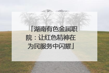 湖南有色金属职院：让红色精神在为民服务中闪耀