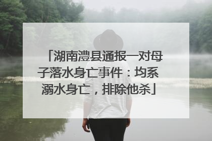 湖南澧县通报一对母子落水身亡事件：均系溺水身亡，排除他杀