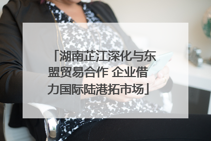湖南芷江深化与东盟贸易合作 企业借力国际陆港拓市场