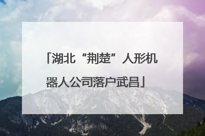 湖北“荆楚”人形机器人公司落户武昌