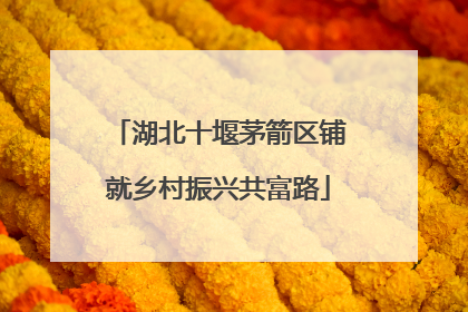 湖北十堰茅箭区铺就乡村振兴共富路