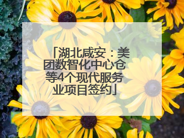 湖北咸安：美团数智化中心仓等4个现代服务业项目签约
