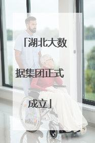 湖北大数据集团正式成立