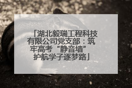 湖北毅瑞工程科技有限公司党支部：筑牢高考“静音墙” 护航学子逐梦路