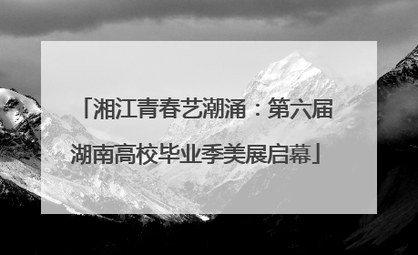湘江青春艺潮涌：第六届湖南高校毕业季美展启幕