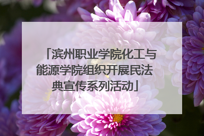 滨州职业学院化工与能源学院组织开展民法典宣传系列活动