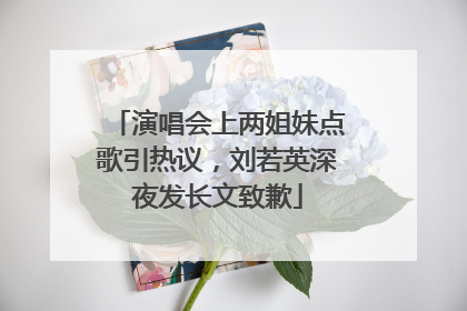 演唱会上两姐妹点歌引热议，刘若英深夜发长文致歉