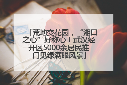 荒地变花园，“湘口之心”好称心！武汉经开区5000余居民推门见绿满眼风景