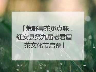 荒野寻茶觅真味，红安县第九届老君眉茶文化节启幕