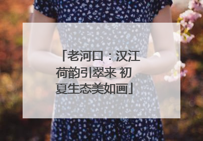 老河口：汉江荷韵引翠来 初夏生态美如画
