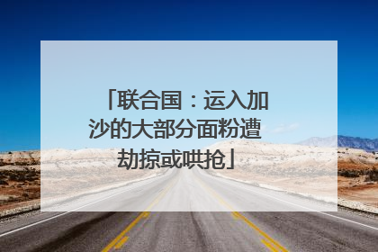 联合国：运入加沙的大部分面粉遭劫掠或哄抢