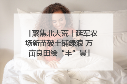 聚焦北大荒丨延军农场新苗破土铺绿浪 万亩良田绘“丰”景