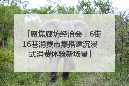 聚焦廊坊经洽会：6街16巷消费市集搭建沉浸式消费体验新场景
