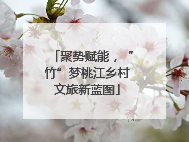 聚势赋能，“竹”梦桃江乡村文旅新蓝图