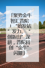 聚势金牛 智汇普陀〡“始发站”发力、“创新田”深耕，普陀科创“金牛”闪耀