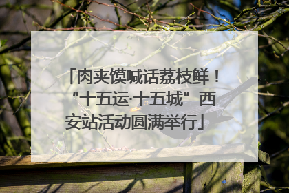 肉夹馍喊话荔枝鲜！“十五运·十五城”西安站活动圆满举行
