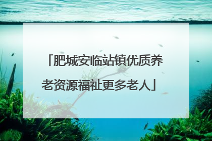 肥城安临站镇优质养老资源福祉更多老人