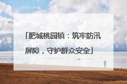 肥城桃园镇：筑牢防汛屏障，守护群众安全