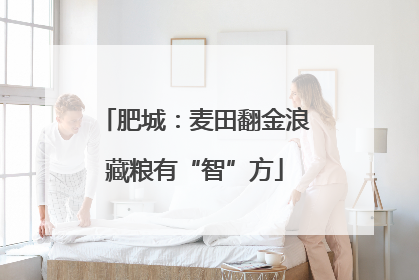 肥城：麦田翻金浪藏粮有“智”方
