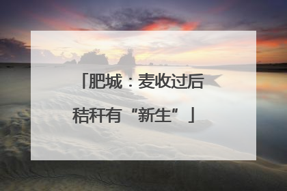 肥城：麦收过后秸秆有“新生”