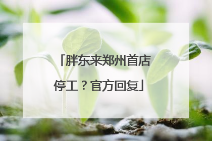 胖东来郑州首店停工？官方回复