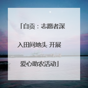 自贡：志愿者深入田间地头 开展爱心助农活动