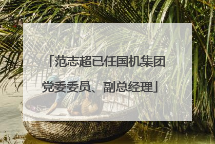范志超已任国机集团党委委员、副总经理