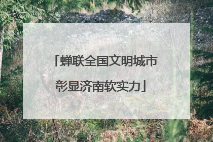 蝉联全国文明城市 彰显济南软实力