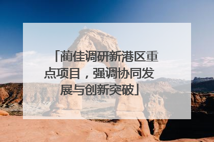 蔺佳调研新港区重点项目，强调协同发展与创新突破