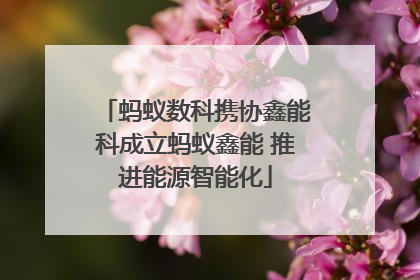 蚂蚁数科携协鑫能科成立蚂蚁鑫能 推进能源智能化
