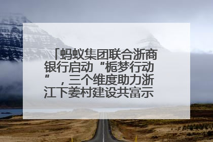 蚂蚁集团联合浙商银行启动“栀梦行动”，三个维度助力浙江下姜村建设共富示范区示范点