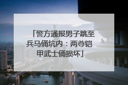 警方通报男子跳至兵马俑坑内：两尊铠甲武士俑损坏