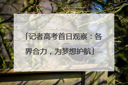 记者高考首日观察：各界合力，为梦想护航