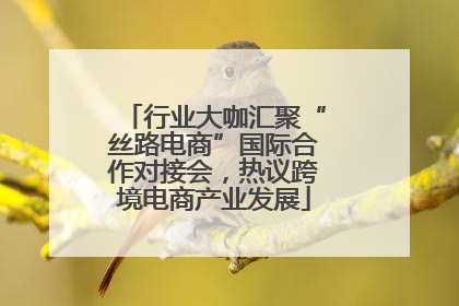 行业大咖汇聚“丝路电商”国际合作对接会，热议跨境电商产业发展