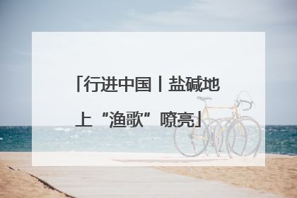 行进中国丨盐碱地上“渔歌”嘹亮