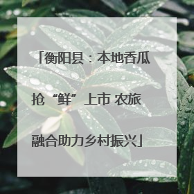 衡阳县：本地香瓜抢“鲜”上市 农旅融合助力乡村振兴
