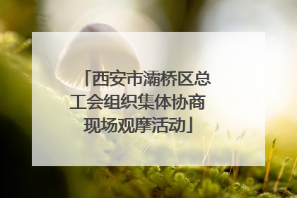 西安市灞桥区总工会组织集体协商现场观摩活动