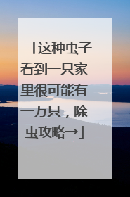 这种虫子看到一只家里很可能有一万只，除虫攻略→