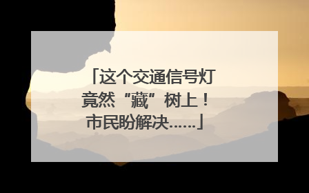 这个交通信号灯竟然“藏”树上！市民盼解决……