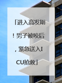进入高发期！男子被咬后，紧急送入ICU抢救