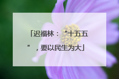 迟福林：“十五五”，要以民生为大